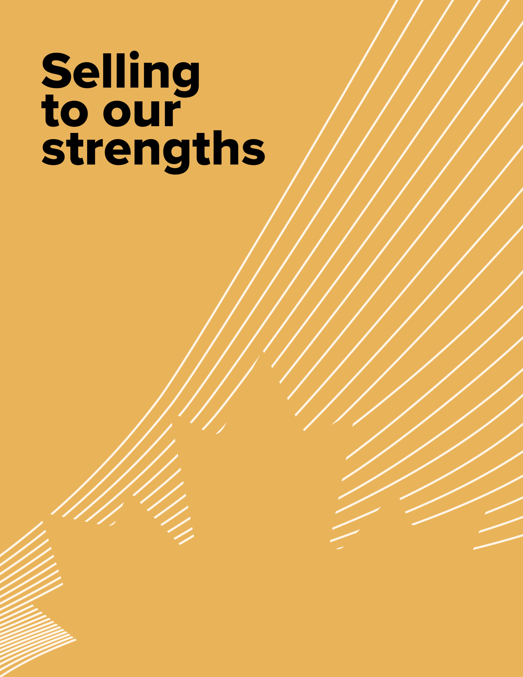 Selling to our strengths